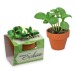 Mini pot terre cuite en fourreau fleur - Bulbes de trèfle à 4 feuilles cadeau d’entreprise