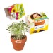 Mini pot terre cuite, fourreau complet- Bulbes de trèfle à 4 feuilles, trèfle à 4 feuilles reclame