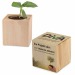 Pot cube - Bulbes de trèfle à 4 feuilles, trèfle à 4 feuilles publicitaire