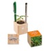 Miniature du produit Pot cube bois de bureau de Noël - Epicéa personnalisé - Epicéa 0