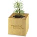 Pot cube bois Maxi de Noël - Epicéa - Epicéa cadeau d’entreprise