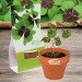 Mini pot en terre cuite sous pochette - Four-leaf clover, trèfle à 4 feuilles publicitaire