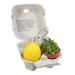 Le plaisir en boîte - avec set de plantation mini-pot en terre cuite, bougie ?uf, moule à gâteau ?lapin? cadeau d’entreprise