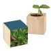 Pot cube bois Mini de Noël - Epicéa - Epicéa cadeau d’entreprise