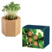 Pot cube Hexagon avec graines - Bulbes de trèfle à 4 feuilles regalo d'azienda