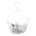 Pince linge x24 panier, transparent cadeau d’entreprise
