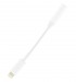 Adaptateur oem lightning vers jack 3,5mm cadeau d’entreprise