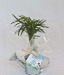Miniatura del producto Regadera de zinc con una mini-planta en flor 1