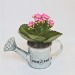 Miniatura del producto Regadera de zinc con una mini-planta en flor 0