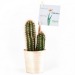 Miniature du produit Cactus en pot bois 0