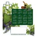 Miniature du produit Estampe murale plantes médicinales 1