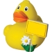 Canard voyage - MBW regalo d'azienda