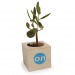 Miniature du produit Cube en bois avec un arbre publicitaire : sapin, palmier, olivier, buis 2