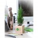 Miniature du produit Cube en bois avec un arbre publicitaire : sapin, palmier, olivier, buis 1