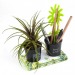 Miniature du produit Duo de pots à crayons avec plante grasse 1