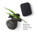 Miniatura del producto Esponja konjac con carbón vegetal 2