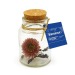 Miniature du produit Flacon fleurs séchées 1