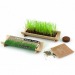 Miniature du produit Jardinière en bambou naturel avec graines 0