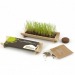 Miniature du produit Jardinière en bambou naturel avec graines 2
