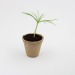 Miniature du produit Kit arbre pot tourbe 3