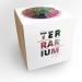Kit terrarium grand modèle 19cm - ficus ginseng, Terrarium pubblicitario