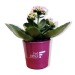 Miniature du produit Mini plante dépolluante personnalisable en pot céramique 1