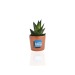 Miniature du produit Mini plante personnalisable dépolluante en pot céramique 5