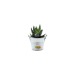 Miniature du produit Mini plante publicitaire dépolluante en pot zinc 4