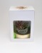 Miniature du produit Mini terrarium globe avec socle en bois 3
