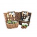 Product thumbnail Wicker Basket Planting Kit 0