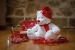 Peluche zippée ours de Noël cadeau d’entreprise