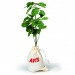 Miniature du produit Petit plant de chêne en sac coton 0