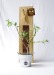 Planta de árbol en bolsa de kraft, planta publicidad