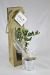 Miniature du produit Plant d'arbre en sac kraft - Résineux 1