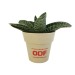Miniature du produit Decorative plant in bamboo pot 2