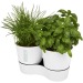 Double pot pour herbes aromatiques cadeau d’entreprise