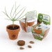 Miniature du produit Pot en terre cuite 55mm avec graines à faire pousser modèle avec fronton 2