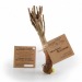 Miniature du produit Pousse de baobab solidaire équitable 0