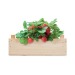 Miniature du produit Graines de fraises dans une caisse en bois 3