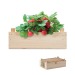 Graines de fraises dans une caisse en bois cadeau d’entreprise