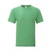 T-Shirt Erwachsene Farbe - Iconic, Textilien Fruit of the Loom Werbung