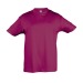 Miniatura del producto Camiseta de cuello redondo color niño 150 g soles - niños regentes - 11970c 2