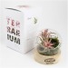 Miniature du produit Mini terrarium logoté globe avec socle en bois 3