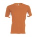 Miniaturansicht des Produkts Tiger > zweifarbiges T-Shirt mit kurzen Ärmeln - kariban 2