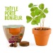Miniature du produit Trèfle à 4 feuilles en pot de culture terre cuite 1