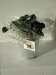 Trébol de 4 hojas empujado (olla de zinc de 10 cm) regalo de empresa