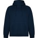 VINSON - Sweat à capuche unisexe en coton biologique peigné et polyester recyclé, Sweat à capuche publicitaire