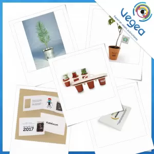 Végétaux, arbres, graines et plantes publicitaires, personnalisés avec votre logo | Goodies Vegea