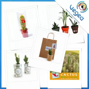 Cactus publicitaire, personnalisé avec votre logo | Goodies Vegea