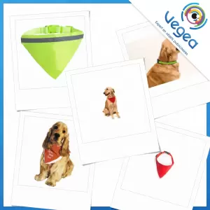 Collier pour chien publicitaire personnalisé avec votre logo | Goodies Vegea